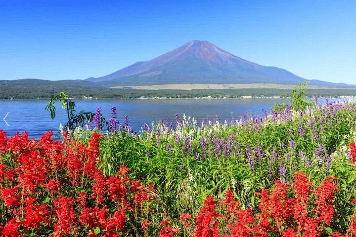 プライベート富士ツアー：山中湖、御殿場アウトレット＆温泉