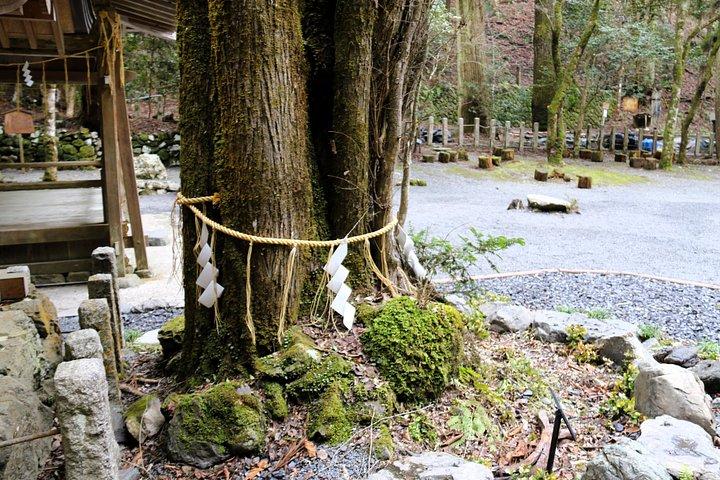 京都プライベートハイキングツアー：鞍馬・貴船の古代軌跡