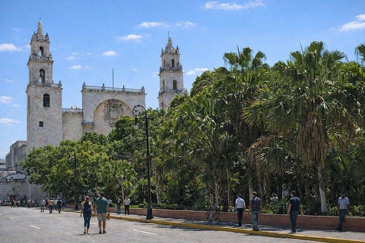 Merida Highlights Private Walking Tour with Local Guide