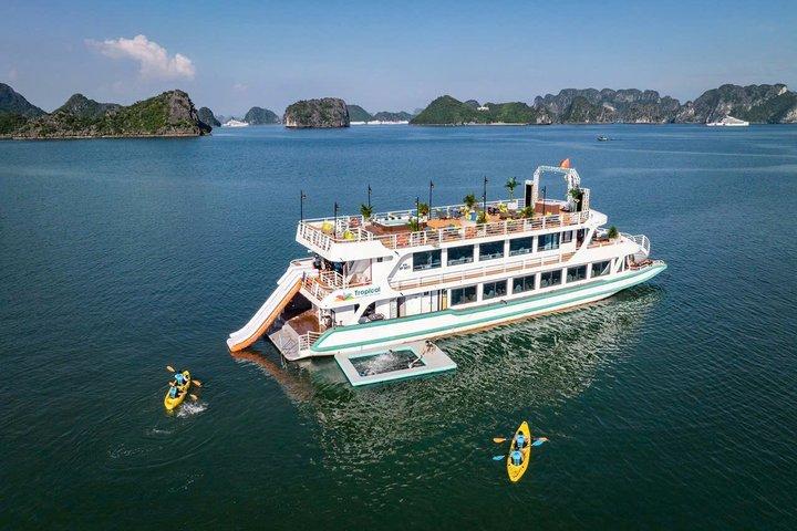 ハノイまたはキャットバの町からランハ湾1日ツアー
