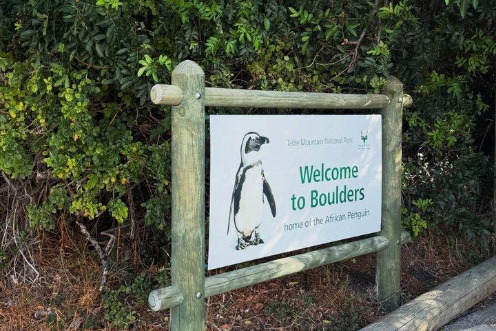Excursion privée d’une demi-journée à Boulders Beach Penguins et Simon’s Town