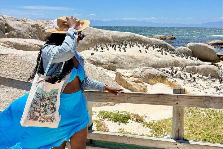 Privétour van een halve dag door Boulders Beach Penguins en Simon's Town