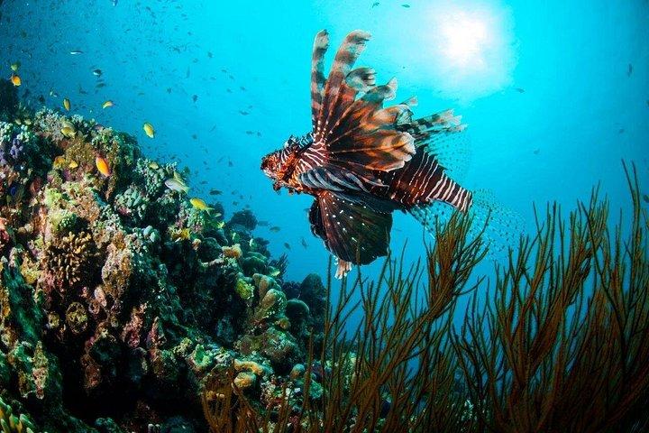 2 dage Private East Bali Discovery