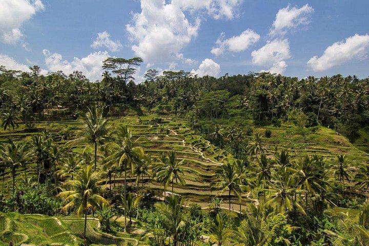 2 dage Private East Bali Discovery