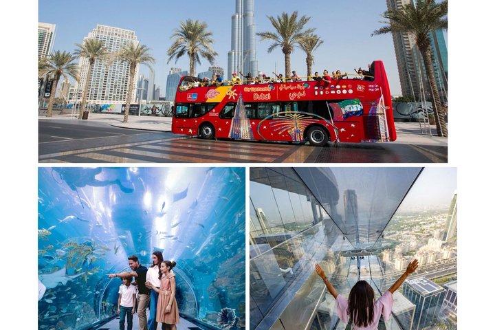 Visite de Dubaï en bus, aquarium et plus encore