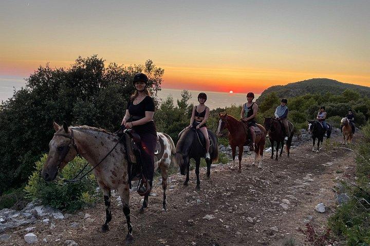 Dubrovnik Horseback Riding Kojan Koral