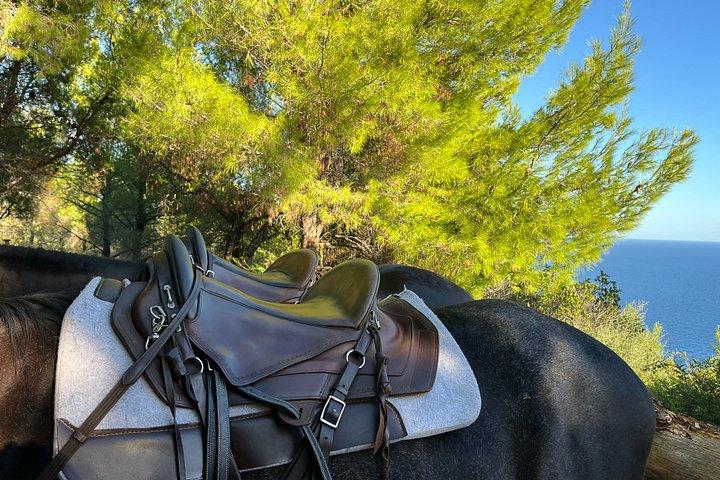 ドゥブロヴニク乗馬コヤン・コラル