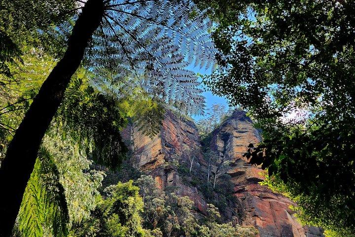 Blå bergen Bushwalk & Wildlife Day Tour från Sydney