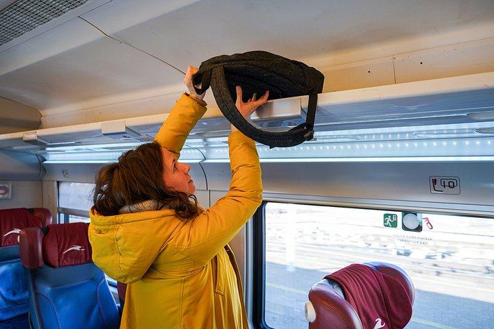 ミラノからトリノまで電車で：市内ガイド付きツアー