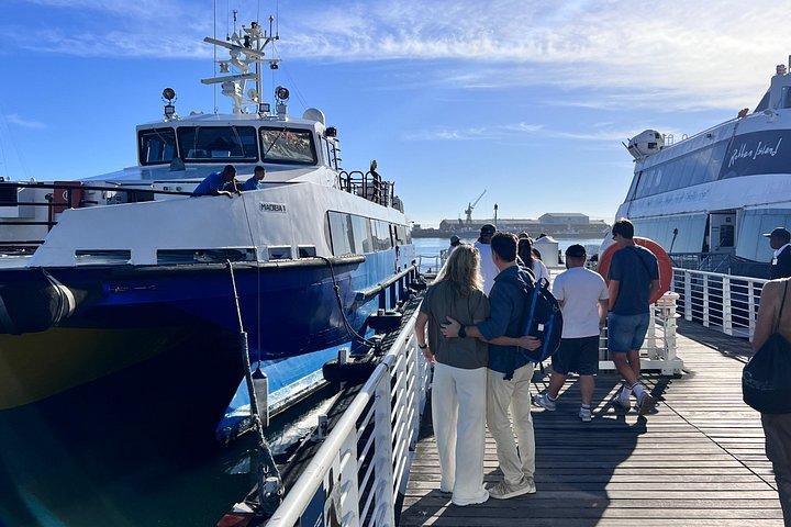 Robben Island Half-Day Tour & Former Prisoner Guide tickets