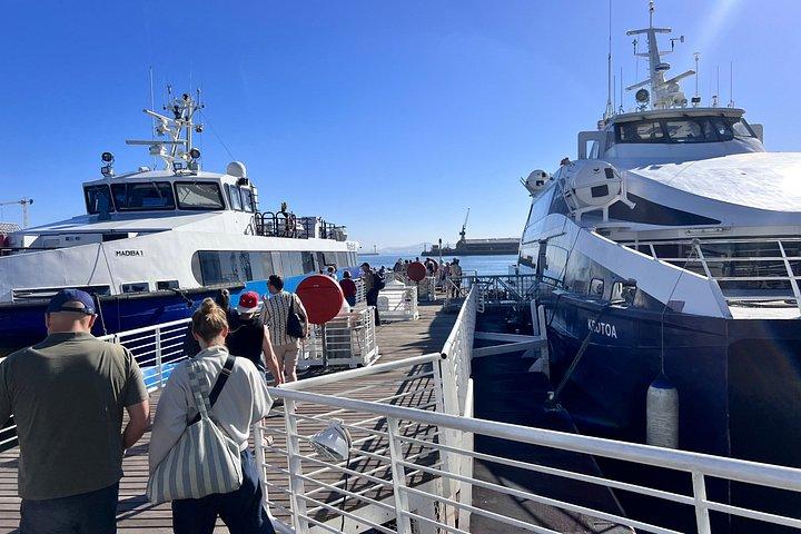Robben Island Half-Day Tour & Former Prisoner Guide tickets