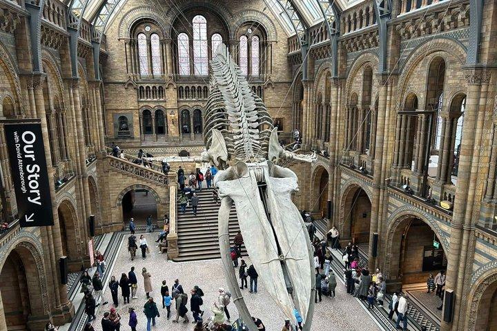 London Natural History Museum