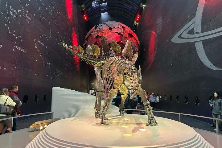 London Natural History Museum