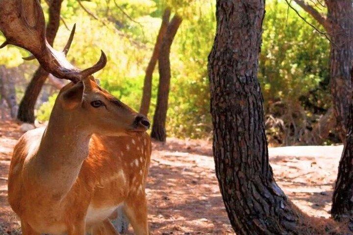 ミニホリデー2日間アイギナモニとアギストリでセーリング