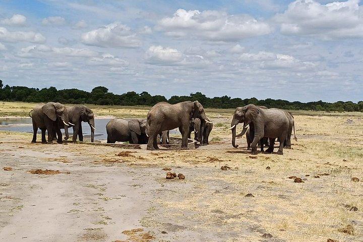 12 Day Grand Zimbabwe Explorer Tour