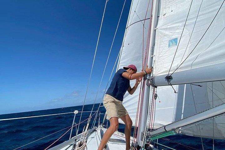 SAILING BOAT 地元のおいしい味を味わう旅