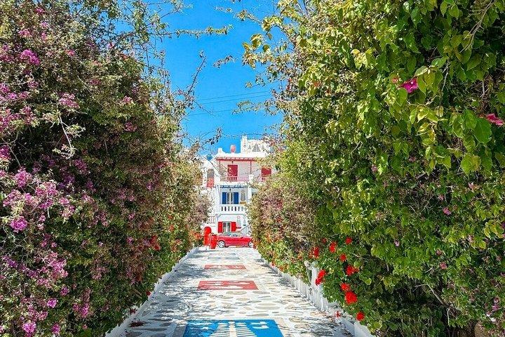 Halvdagstur på en privat ö med en lokalbo i Mykonos