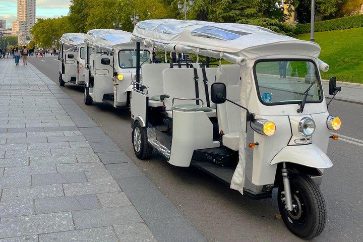 マドリードをもっと短時間で満喫：電動トゥクトゥクツアー