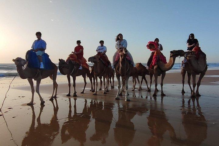 Camel Ride - Tangier & Asilah