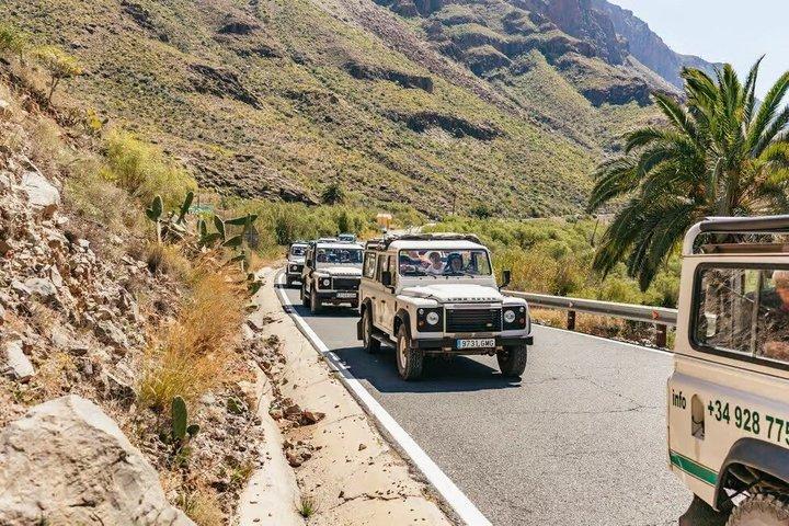 グラン・カナリア島サファリアドベンチャー(四輪駆動車利用)