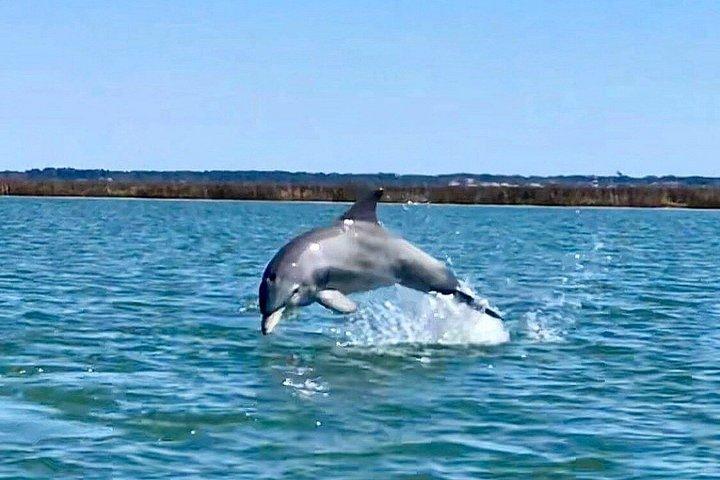 Private Hilton Head Sunset Dolphin Cruise Tour – Groups (7–15)