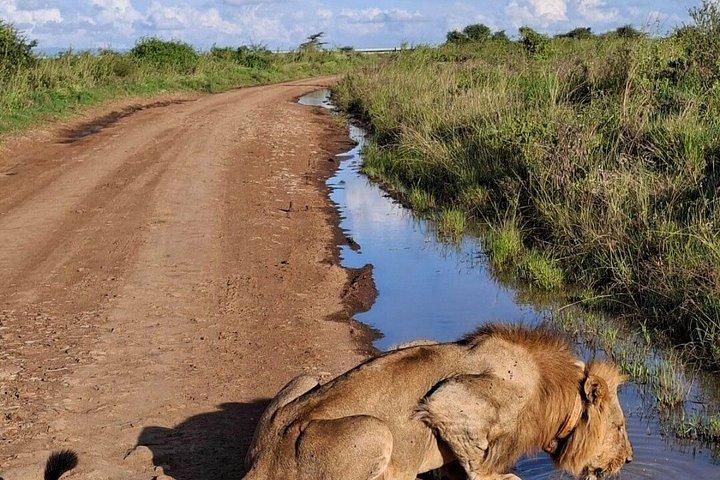 Beyond Boundaries Tours and Transfers