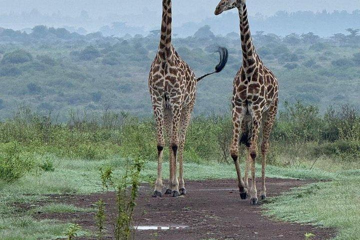 Beyond Boundaries Tours and Transfers