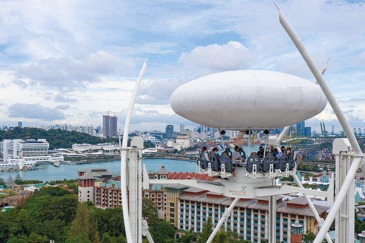 Billet d'entrée SkyHelix Sentosa