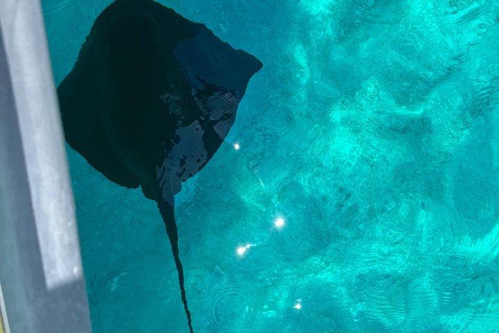 Sarandë : ヒドゥンベイ海洞窟＆クリスタルウォーターズへのスピードボートツアー