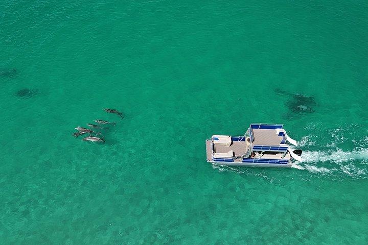 シェル島へのダブルデッカースライドボートレンタル