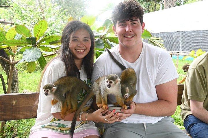 Triple Adrenaline Tour Waterfalls Zipline and Monkey Interaction