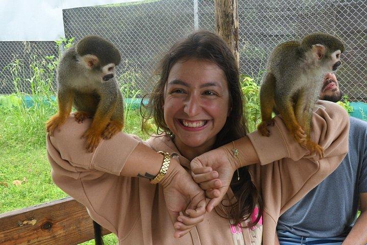 Triple Adrenaline Tour Waterfalls Zipline and Monkey Interaction