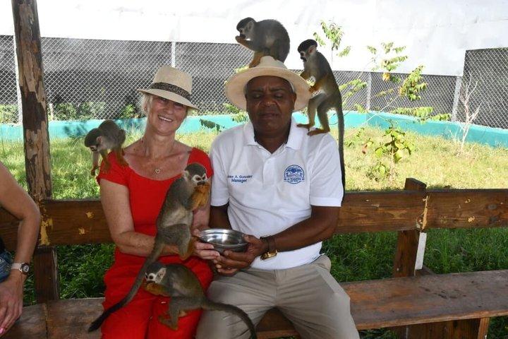 Hoteller i nærheden af Puerto Plata Horseback Riding and Monkey Adventure Tour