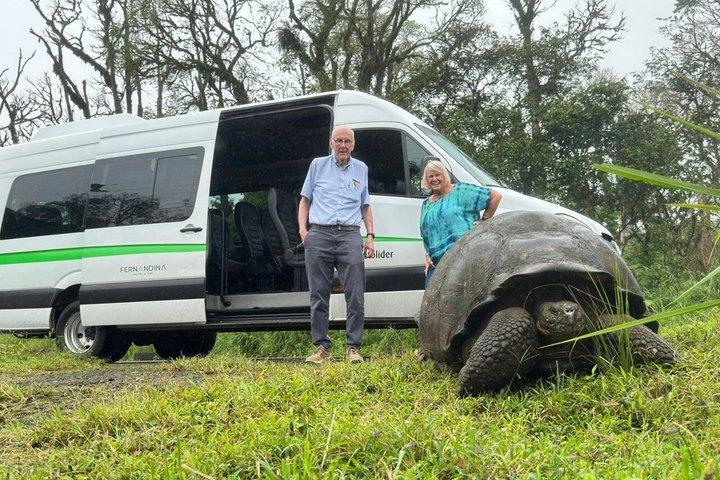 サンタクルーズのツアー：クレーター、溶岩トンネル、そしてカメ