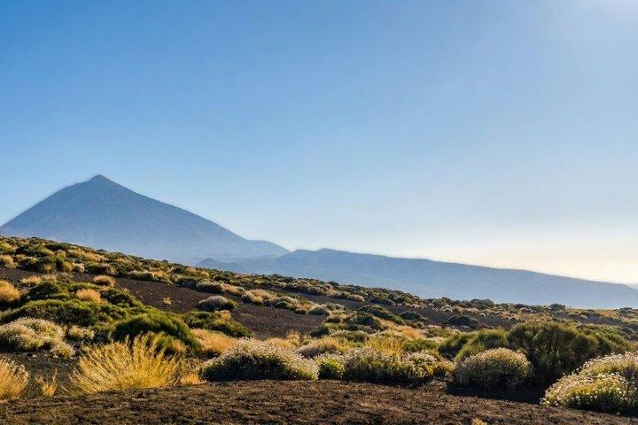 Visite guidée privée au Teide et au Nord de Tenerife