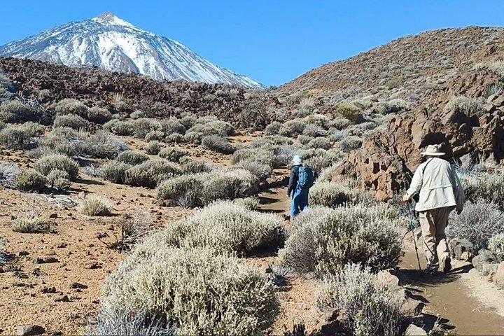 Visite guidée privée au Teide et au Nord de Tenerife