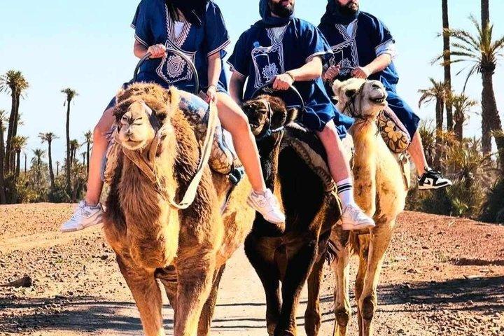Kameläventyr i Palmerieöknen Marrakech