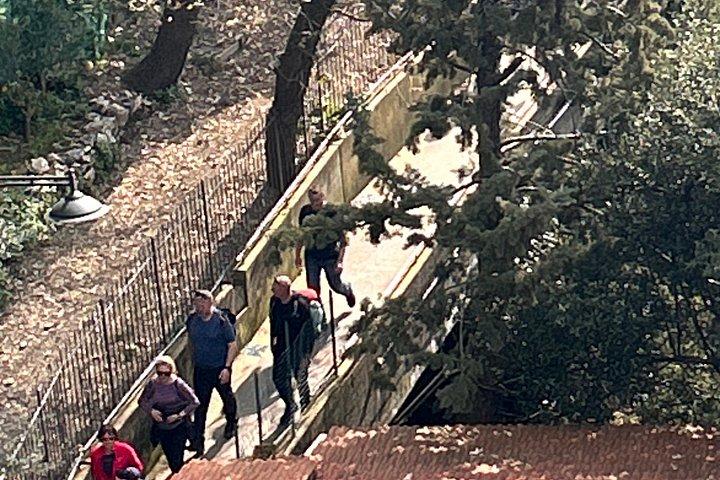ソレント・アマルフィ海岸からの眺め神々の道ハイキングツアー