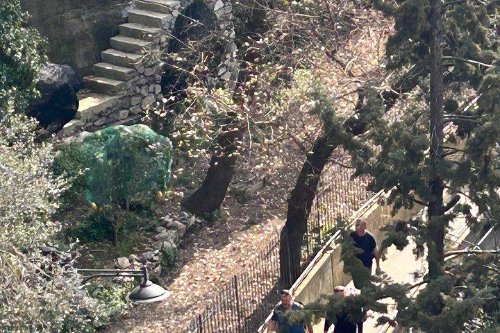 ソレント・アマルフィ海岸からの眺め神々の道ハイキングツアー