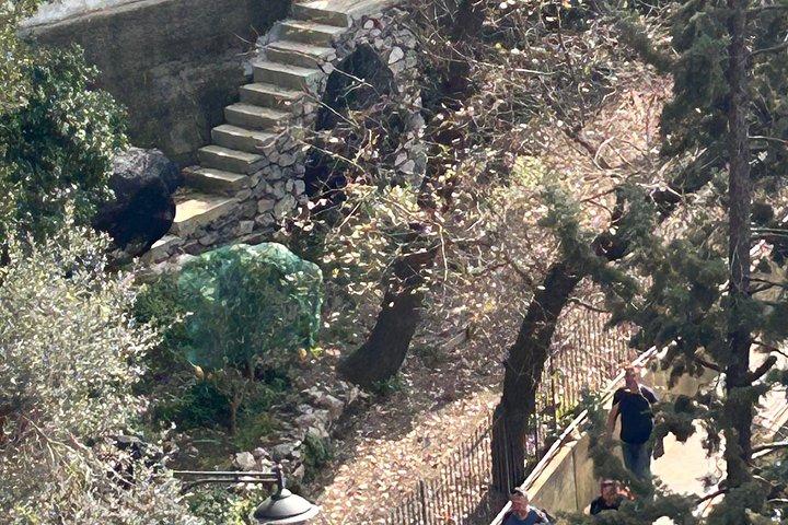 ソレント・アマルフィ海岸からの眺め神々の道ハイキングツアー