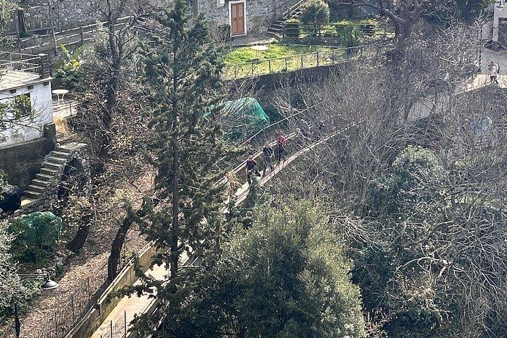 ソレント・アマルフィ海岸からの眺め神々の道ハイキングツアー