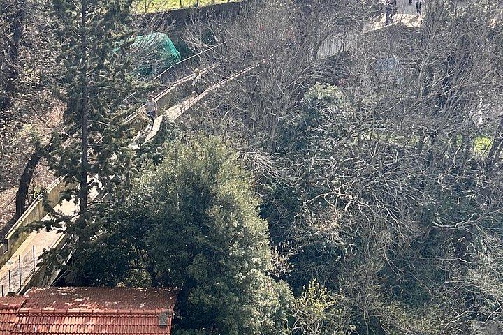 ソレント・アマルフィ海岸からの眺め神々の道ハイキングツアー