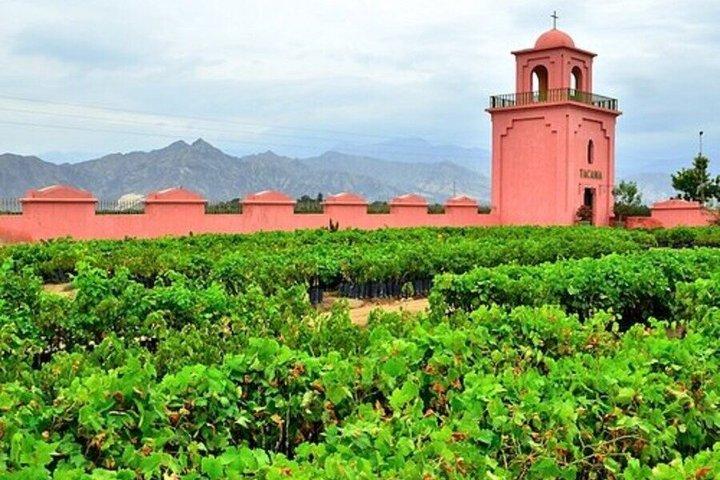 Paracas Ica Huacachina Tour with Vineyard Lunch