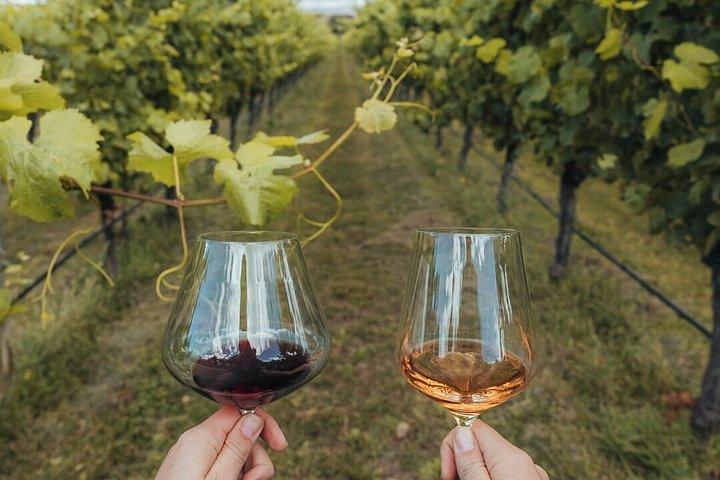 Wanaka Wine Tours Quintessential Wanaka Tour