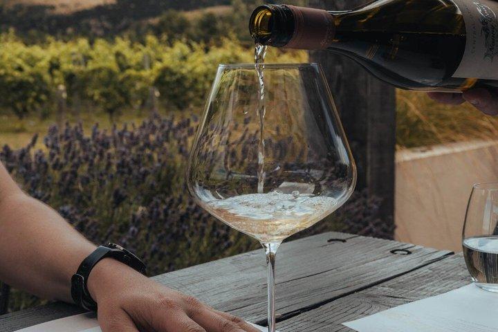 Wanaka Wine Tours Quintessential Wanaka Tour