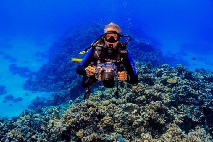初心者のためのイントロダイビング2ストップ、ランチ付きクルーズ–フルガダ