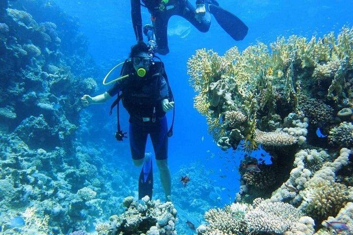初心者のためのイントロダイビング2ストップ、ランチ付きクルーズ–フルガダ