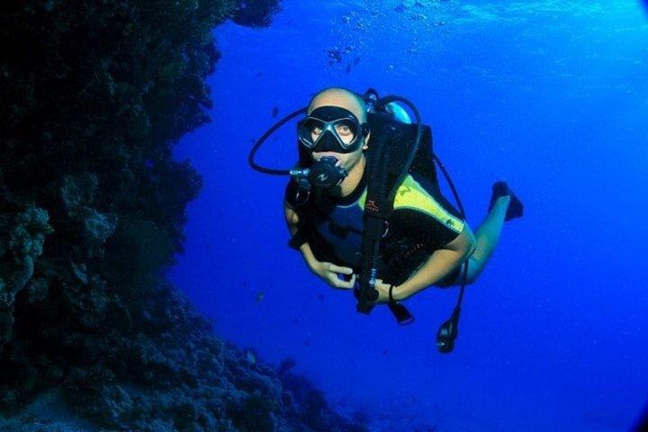 初心者のためのイントロダイビング2ストップ、ランチ付きクルーズ–フルガダ