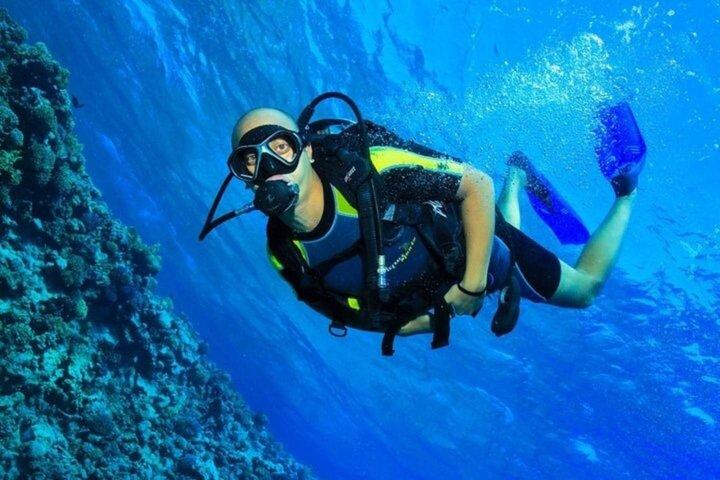 初心者のためのイントロダイビング2ストップ、ランチ付きクルーズ–フルガダ