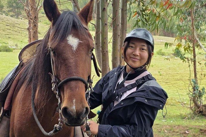 cuscoで月の神殿＆隠れた寺院を巡る乗馬ツアー